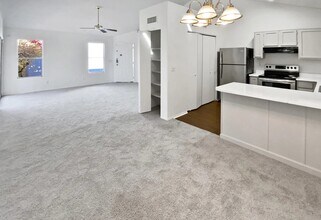 11028 N 81st Dr in Peoria, AZ - Building Photo - Building Photo