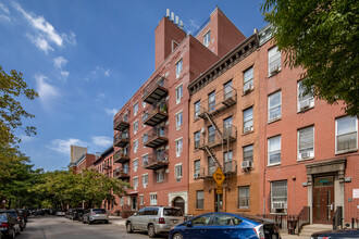 567 Warren Street in Brooklyn, NY - Building Photo - Building Photo