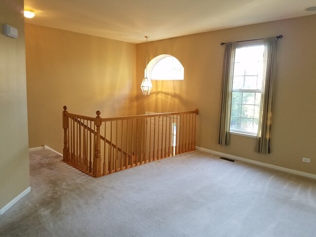 135 Patrick Ave in Willow Springs, IL - Building Photo - Building Photo