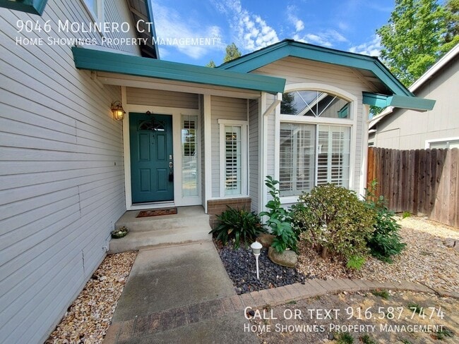 property at 9046 Molinero Ct