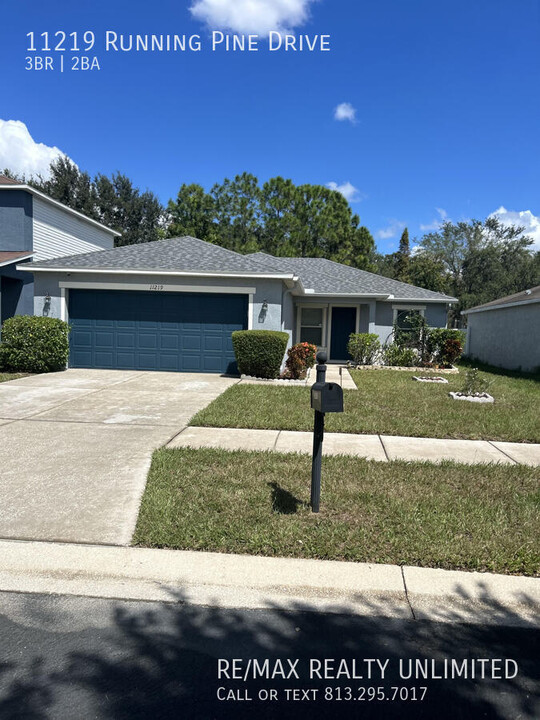 11219 Running Pine Dr in Riverview, FL - Foto de edificio