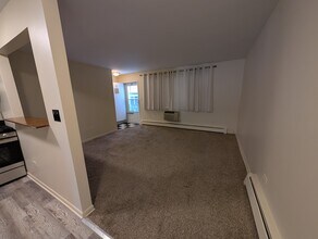 924 Warren Ave, Unit 1 in Downers Grove, IL - Building Photo - Building Photo