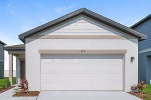 879 Kings Pine Ct in Ruskin, FL - Building Photo