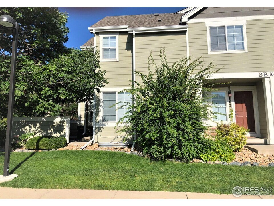 805 Summer Hawk Dr in Longmont, CO - Building Photo