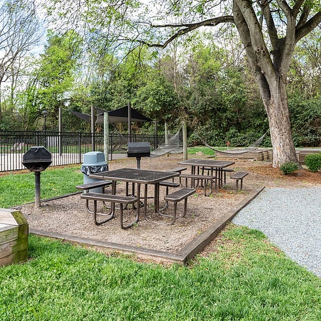 Aurora in Charlotte, NC - Building Photo - Building Photo