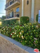 1097 S Bedford Dr in Los Angeles, CA - Building Photo - Building Photo