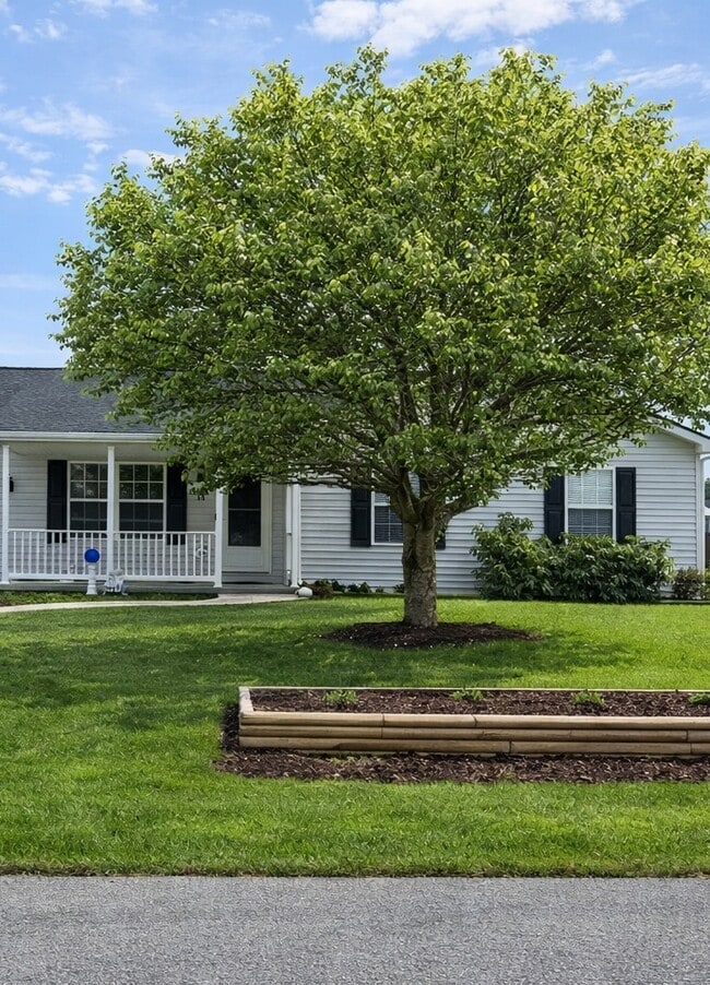 property at 60 Jetta Cir