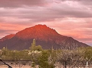 9500 W Sky Blue Dr, Unit Studio 2 in Tucson, AZ - Building Photo - Building Photo