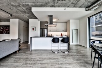 397 E Ohio St in Chicago, IL - Building Photo - Building Photo