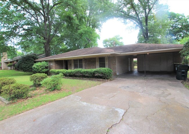 307 Alpine Dr in Tyler, TX - Building Photo - Building Photo