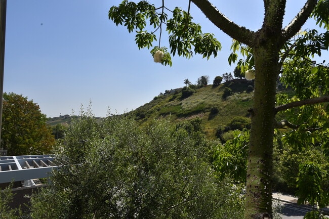 12655 Bluff Creek Dr, Unit 232 in Los Angeles, CA - Building Photo - Building Photo