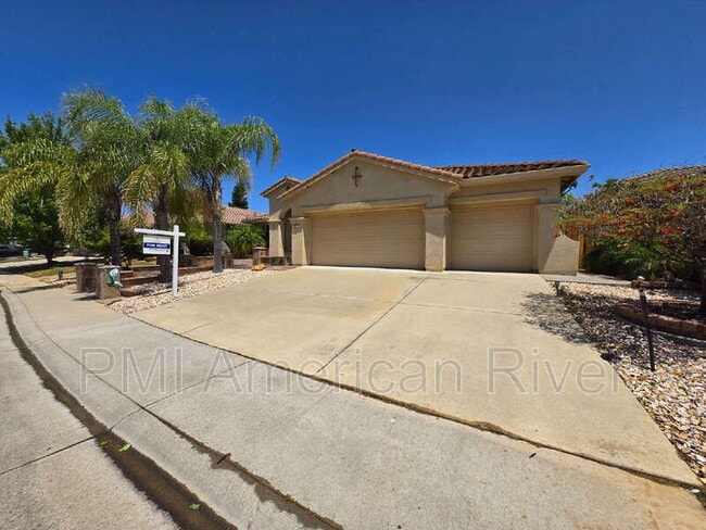 10071 Wyatt Ranch Way in Sacramento, CA - Building Photo - Building Photo
