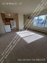 217 W Main St in Milan, MI - Building Photo - Building Photo