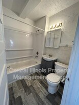 403 E Monroe St in Bloomington, IL - Building Photo