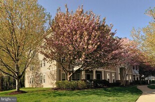 13103 Millhaven Pl, Unit APT E in Germantown, MD - Building Photo