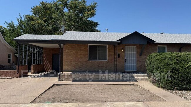 1017-1019 N Elizabeth St in Pueblo, CO - Building Photo - Building Photo