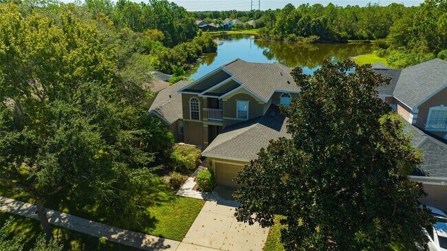 16323 Bridgewalk Dr in Fish Hawk, FL - Foto de edificio - Building Photo