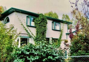 3321 Caress Cir in Anchorage, AK - Building Photo