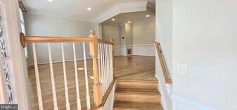 44272 Silkworth Terrace in Ashburn, VA - Building Photo