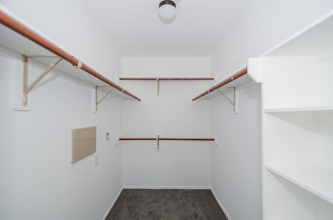 property at 2646 Leopard Ct