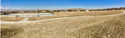 2526 Azalea Way in Erie, CO - Building Photo - Building Photo