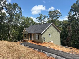 361 Tower Dr in Dawsonville, GA - Building Photo