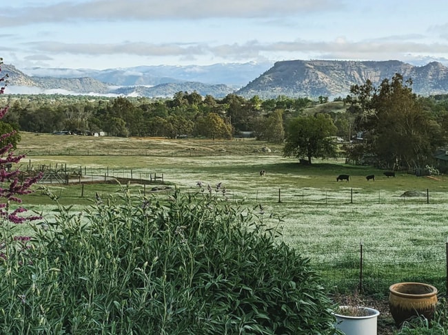 26180 Whispering Oak Ln, Unit Talahi Studio