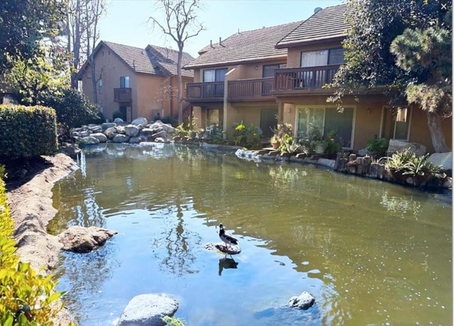 property at 184 Tangelo