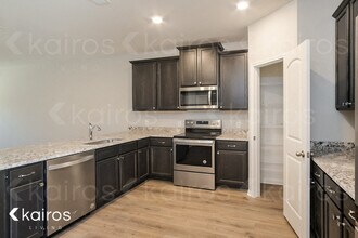 309 Cannon Wy in Liberty Hill, TX - Building Photo - Building Photo