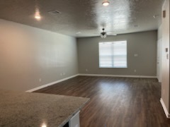 2047 Vintage Farms Wy in Brenham, TX - Building Photo - Building Photo