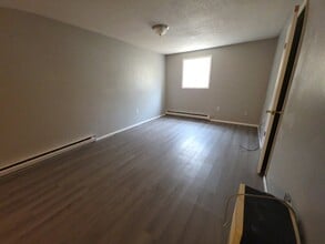 113 E Franklin St in Endicott, NY - Building Photo - Building Photo