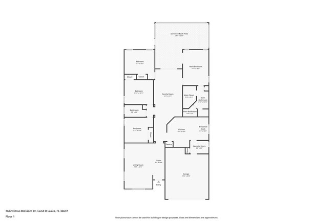 7602 Citrus Blossom Dr in Land O Lakes, FL - Building Photo - Building Photo