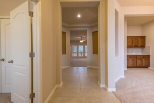 165 Lady Bird Ln in Georgetown, TX - Building Photo