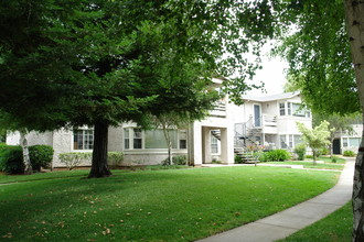 Forest Avenue Apartments in Chico, CA - Building Photo - Building Photo