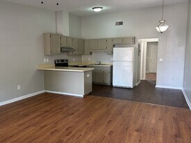 214 White Dr in Tallahassee, FL - Building Photo