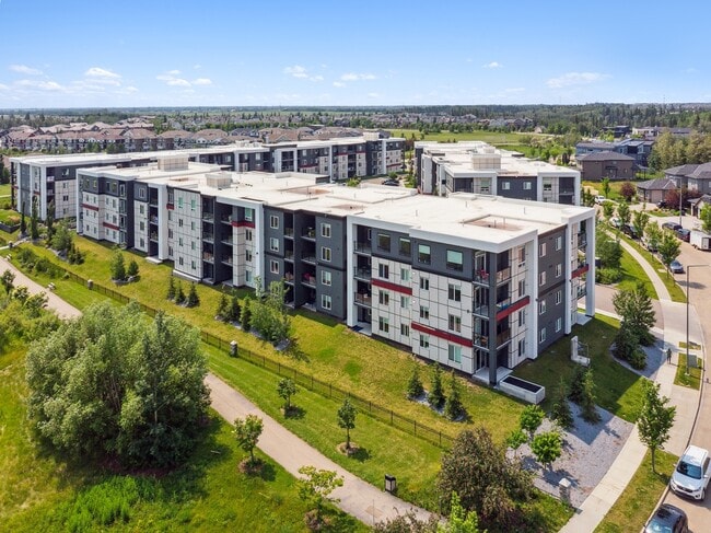 Pointe at Cameron Heights