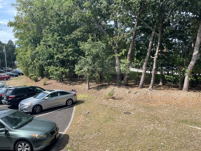 282 Grove St in Brookline, MA - Building Photo - Building Photo