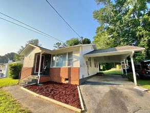 143 Shenandoah Dr in Johnson City, TN - Building Photo - Building Photo