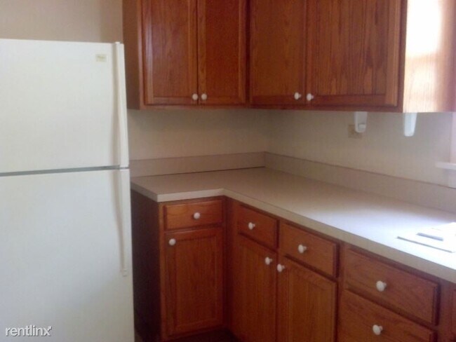 115 N 5th St in St. Charles, IL - Building Photo - Building Photo