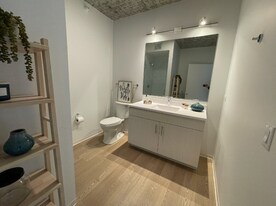 1450 S Wabash Ave in Chicago, IL - Building Photo