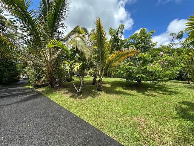15-2796-2796 Aweoweo St in Pahoa, HI - Building Photo - Building Photo