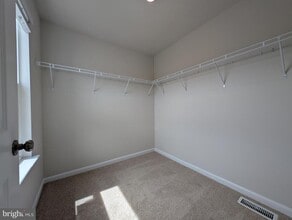 134 Willett Holw St in Stephens City, VA - Building Photo - Building Photo