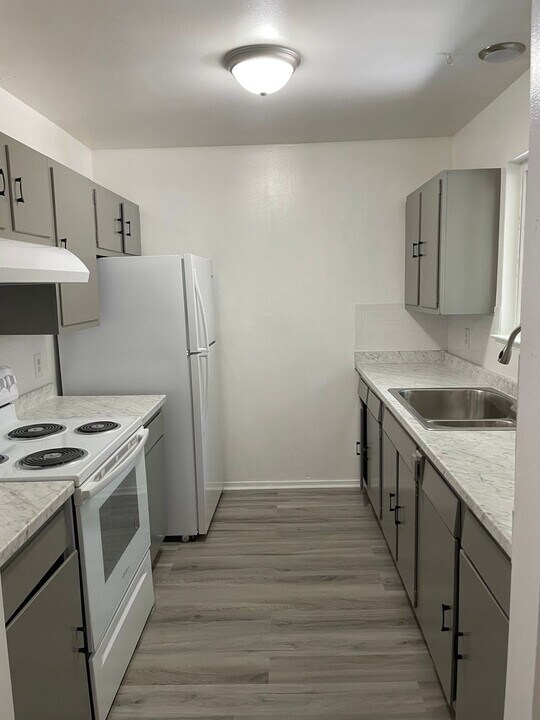 3685 Tamarack Ave in South Lake Tahoe, CA - Building Photo