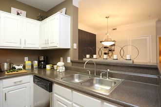 Merritt at Sugarloaf in Duluth, GA - Foto de edificio - Interior Photo
