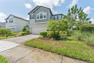 17970 Fenders Wy in Land O Lakes, FL - Building Photo - Building Photo