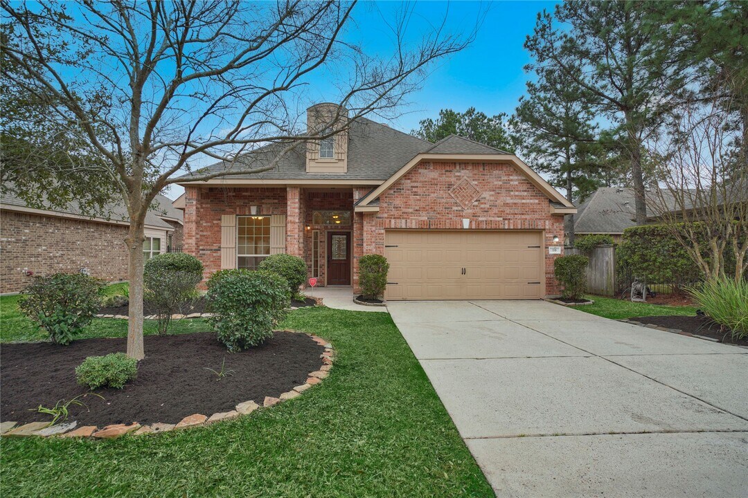 10 Tallgrass Way in Spring, TX - Building Photo