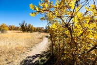 Apartments in Castle Rock, CO