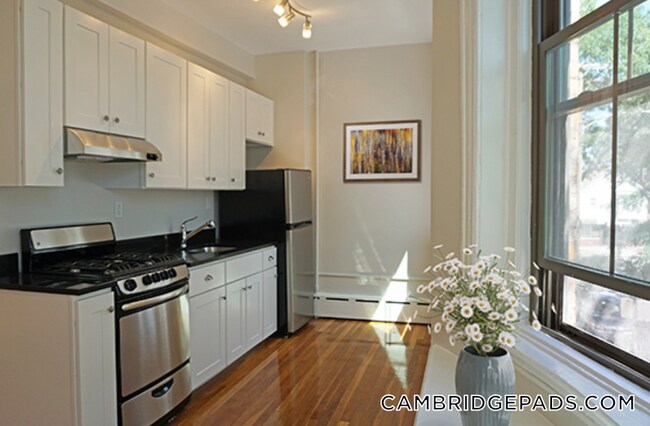 102 Willow St, Unit 2 in Cambridge, MA - Building Photo - Building Photo