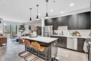Metro 19 Apartments in Roselle, IL - Building Photo