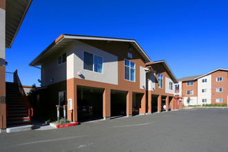 Rowan Court Apartments in Santa Rosa, CA - Building Photo - Building Photo